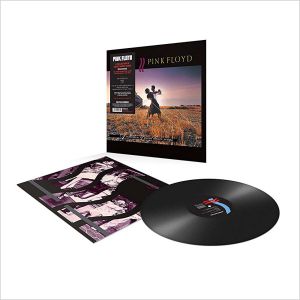 Pink Floyd - A Collection Of Great Dance Songs (Vinyl) [ LP ]