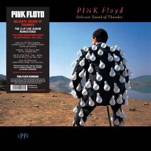 Pink Floyd - Delicate Sound Of Thunder (2 x Vinyl)
