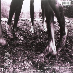 Pearl Jam - Vs. (Remastered) (Vinyl)