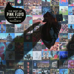 Pink Floyd - A Foot In The Door: The Best Of Pink Floyd (2 x Vinyl)