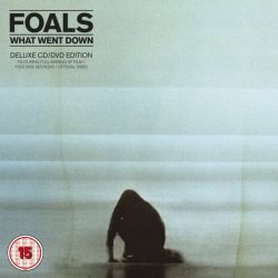 Foals - What Went Down (Limited Edition) (CD with DVD) [ CD ]