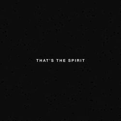 Bring Me The Horizon - That's The Spirit (Vinyl with CD)