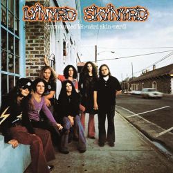 Lynyrd Skynyrd - (pronounced 'leh-'nrd 'skin-'nrd) (Vinyl)