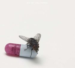 Red Hot Chili Peppers - I'm With You (Limited Softpak) [ CD ]