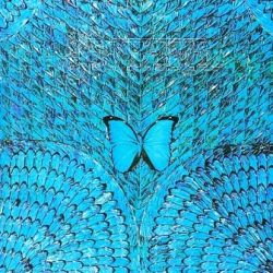 Santana - Borboletta [ CD ]