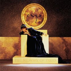 Enya - The Memory Of Trees (Vinyl)