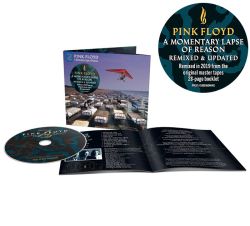 Pink Floyd - A Momentary Lapse Of Reason (2019 Remixed &amp; Updated) (CD)