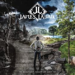 James LaBrie - Beautiful Shade Of Grey (Vinyl with CD) [ LP ]