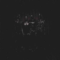 Weezer - Weezer (Black Album) (Vinyl)