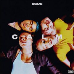 5 Seconds Of Summer - Calm (Vinyl)