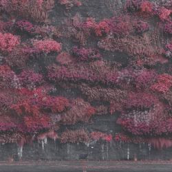 Sleep Token - Even In Arcadia [ CD ]