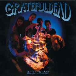 Grateful Dead - Built To Last (Vinyl)