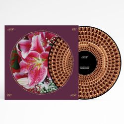 Richard Hawley - Coles Corner (20th Anniversary Edition, Zoetrope Picture Disc) (Vinyl)