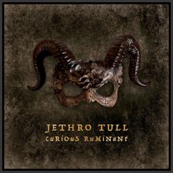 Jethro Tull - Curious Ruminant (Digipack) (CD)