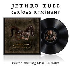 Jethro Tull - Curious Ruminant (Vinyl))