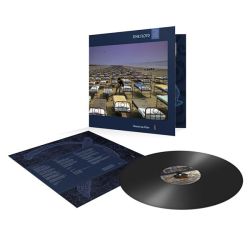 Pink Floyd - A Momentary Lapse Of Reason (Vinyl)