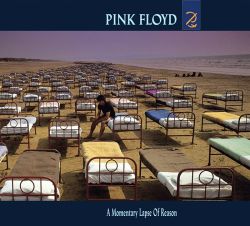 Pink Floyd - A Momentary Lapse Of Reason (Digisleeve) [ CD ]