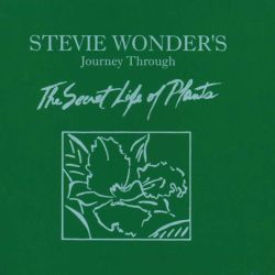Stevie Wonder - Secret Life Of Plants (2CD)