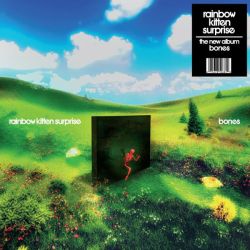 Rainbow Kitten Surprise - Bones (Vinyl)