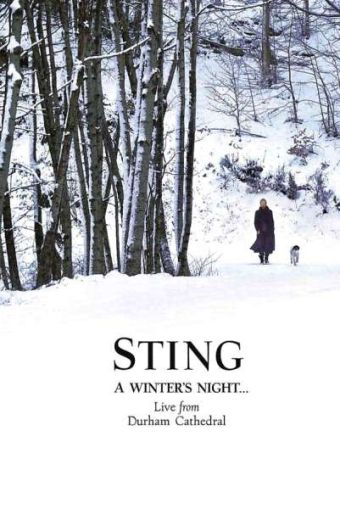 Sting - A Winter's Night (2DVD-Video) [ DVD ]