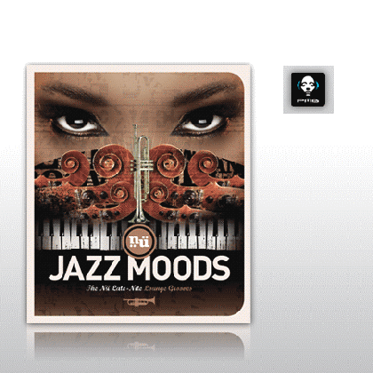 Nu Jazz Moods - The Nu Late-Nite Lounge Grooves - Various Artists [ CD ]