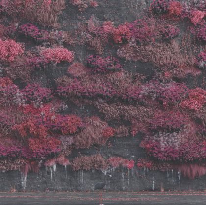 Sleep Token - Even In Arcadia [ CD ]