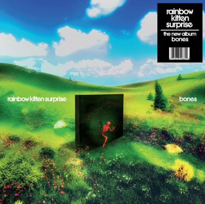 Rainbow Kitten Surprise - Bones (Vinyl)