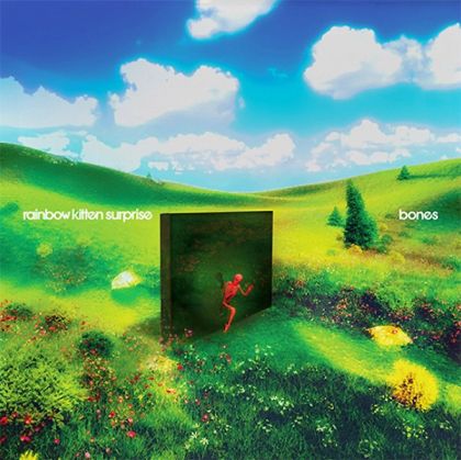 Rainbow Kitten Surprise - Bones (CD)