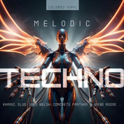 Melodic Techno 2026 - Various Artists (Vinyl)