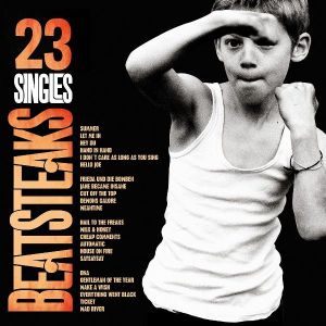 Beatsteaks - 23 Singles [ CD ]