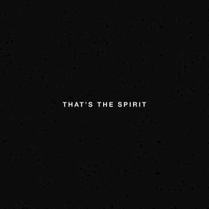 Bring Me The Horizon - That's The Spirit (Vinyl with CD)