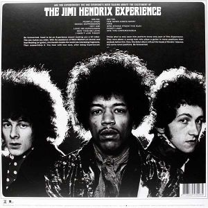 Jimi Hendrix 'Experience - Are You Experienced (US Mono) (Vinyl)