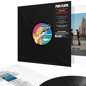 Pink Floyd - Wish You Were Here (2011 Remaster) (Vinyl)