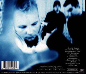 Evanescence - Fallen [ CD ]
