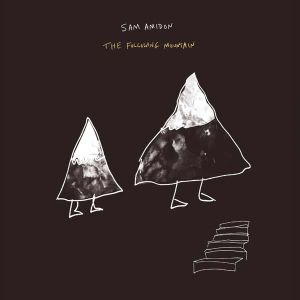 Sam Amidon - The Following Mountain [ CD ]