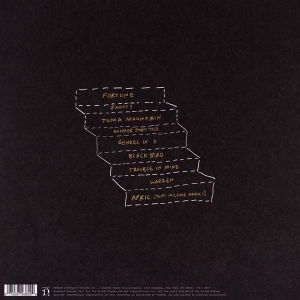 Sam Amidon - The Following Mountain (Vinyl) [ LP ]