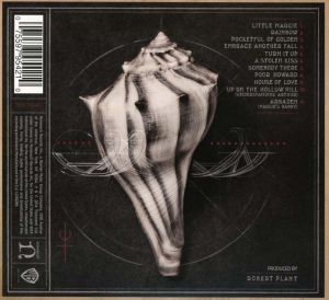 Robert Plant - Lullaby And... The Ceaseless Roar [ CD ]