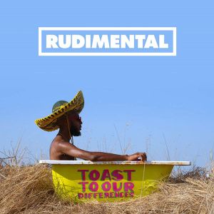 Rudimental - Toast Our Differences (2 x Vinyl)