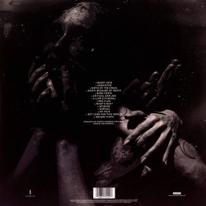 Slipknot - We Are Not Your Kind (2 x Vinyl) [ LP ]