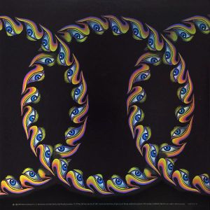 Tool - Lateralus (Limited Picture Disc) (2 x Vinyl)