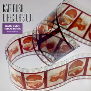 Kate Bush - Director's Cut (2018 Remaster) (2 x Vinyl)