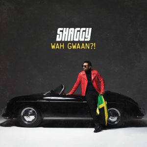 Shaggy - Wah Gwaan?! (Limited Edition, Light Green & Yellow Colored) (2 x Vinyl)