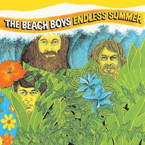 Beach Boys - Endless Summer (2 x Vinyl) [ LP ]