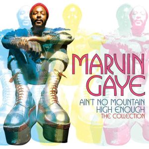 Marvin Gaye - Ain't No Mountain High Enough: The Collection [ CD ]