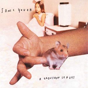 Sonic Youth - A Thousand Leaves (CD)