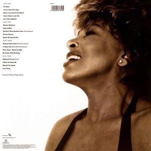 Tina Turner - Simply The Best (2 x Vinyl)