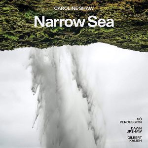 Dawn Upshaw - Caroline Shaw: Narrow Sea (CD)