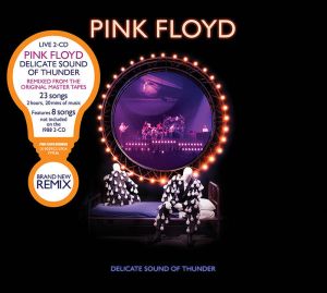Pink Floyd - Delicate Sound Of Thunder (2019 Remix) (Live) (2CD) [ CD ]