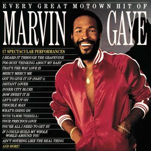 Marvin Gaye - Every Great Motown Hit Of Marvin Gaye: 15 Spectacular Performances (Vinyl) [ LP ]