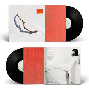 PJ Harvey - I Inside The Old Year Dying (Vinyl) [ LP ]